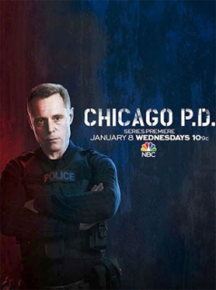voir serie Chicago Police Department en streaming