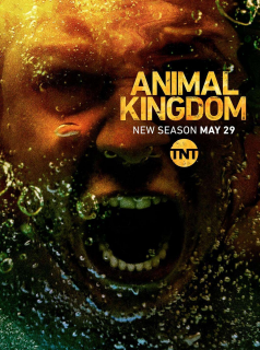 voir serie Animal Kingdom en streaming