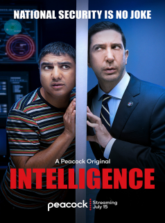 voir serie Intelligence saison 2