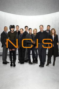 voir serie NCIS : Enquêtes spéciales saison 21