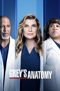 voir serie Grey's Anatomy saison 7