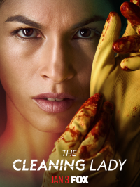 voir serie The Cleaning Lady saison 1