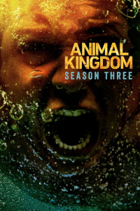 voir serie Animal Kingdom saison 3