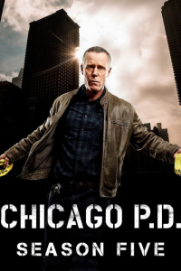 voir serie Chicago Police Department saison 5