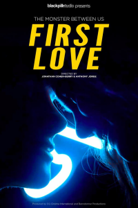 voir First Love Saison 1 en streaming 