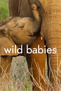 voir serie Wild Babies : Petits et Sauvages saison 1