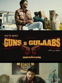 voir serie Guns & Gulaabs saison 1