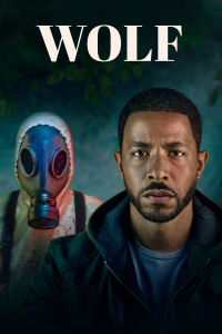 voir serie Wolf saison 1