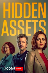voir serie Hidden Assets (2021) saison 2