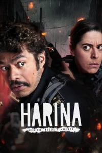 voir serie Harina saison 2